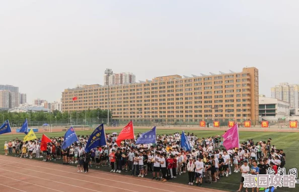 2025年光遇运动会启动时间揭晓：融合科技与艺术的体育盛宴何时开启？